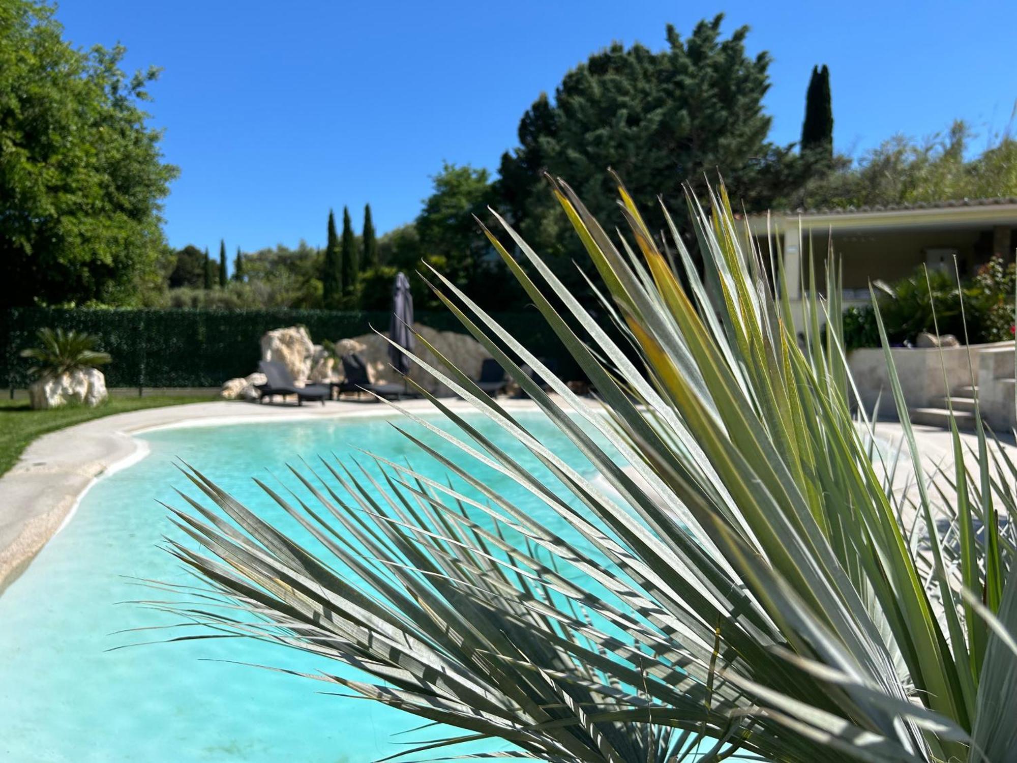 Duplex Oliveraie Piscine Au Sel Marin Et Parking Leilighet Nice